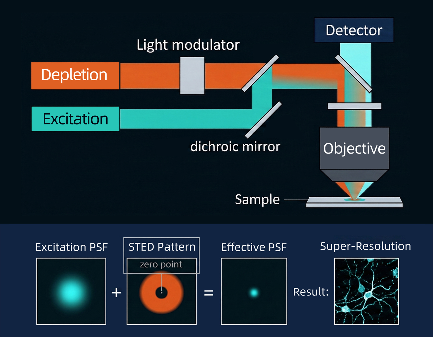 STED 成像原理示意图：上方为光路系统（Excitation激发光、Depletion损耗光、Objective物镜等），下方为成像原理（Excitation PSF + STED Pattern = Effective PSF → Super-Resolution）