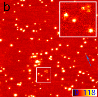 STED超分辨成像 · 荧光微球